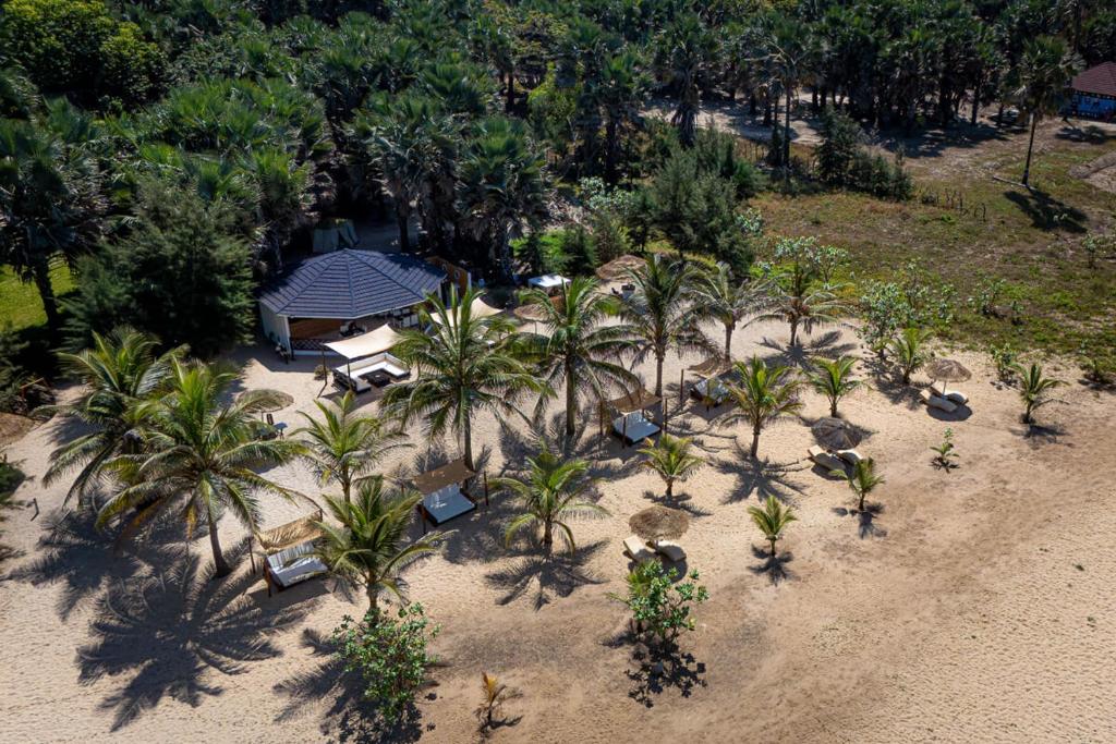 Surrounding environment