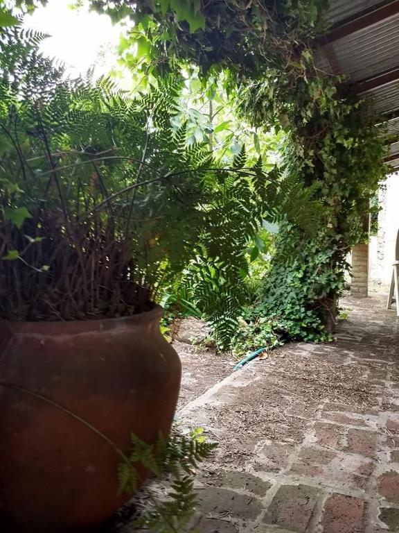 Casa en Mar Azul - 3