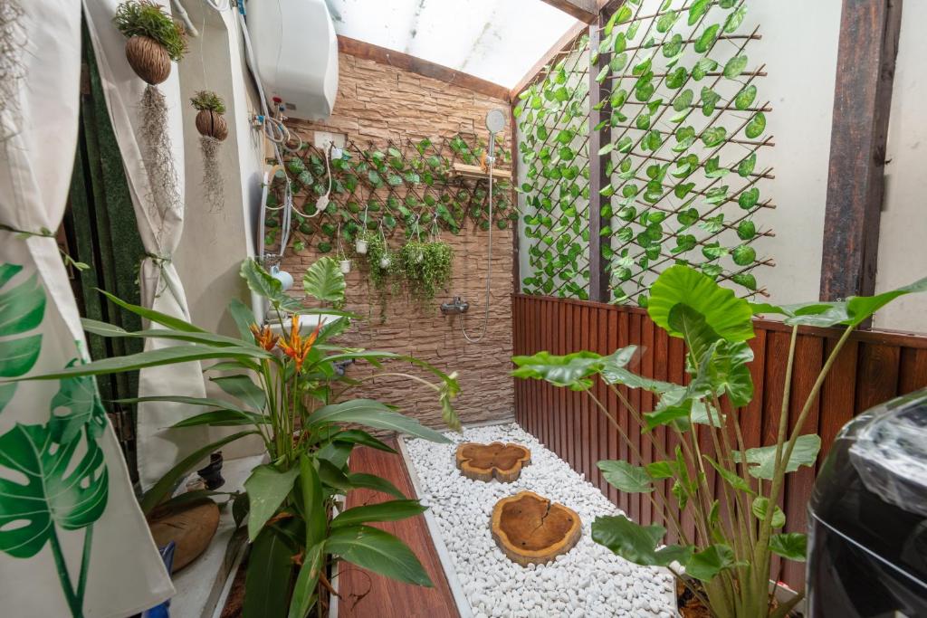 Cocka Nest