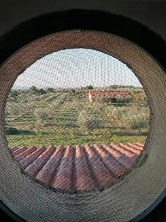 Namaste, mare, lago e terme di Vulci, Canino