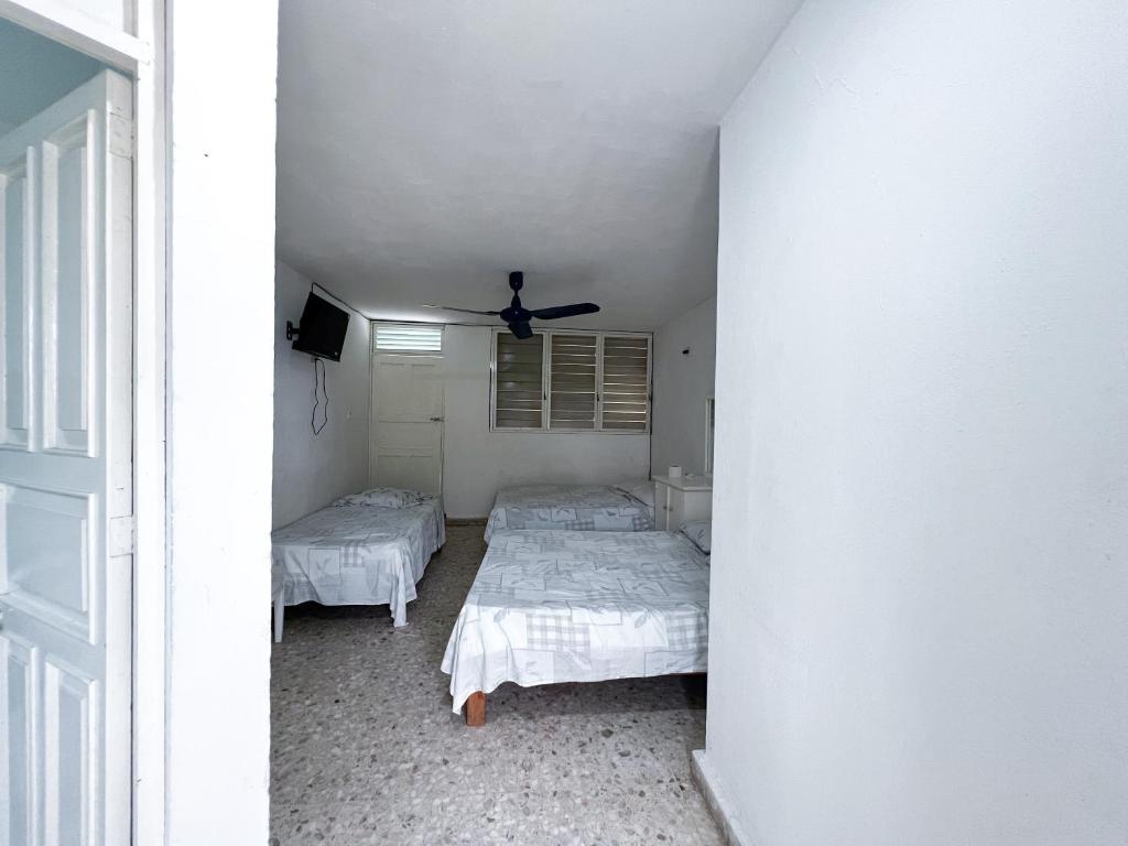 Hotel Walton - 5