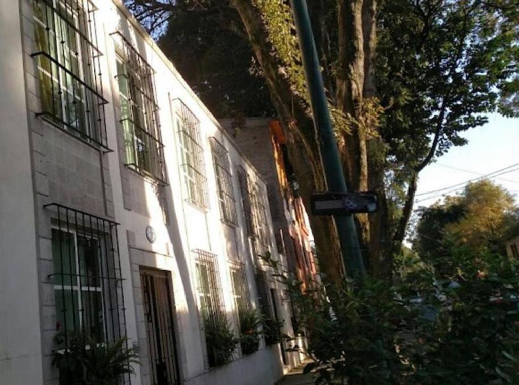 Departamento Rompecabezas SúperAnfitrión Coyoacan - 2