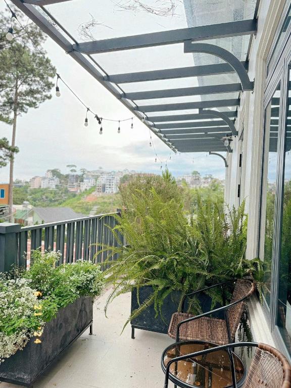 Sunflower Garden Homestay Đà Lạt