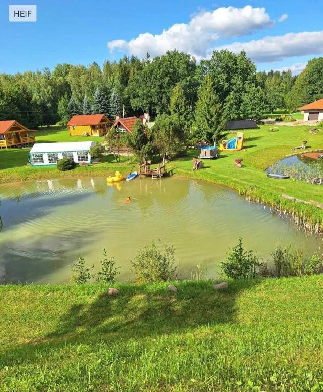 Sodyba pas Martyna 2, Triušiai