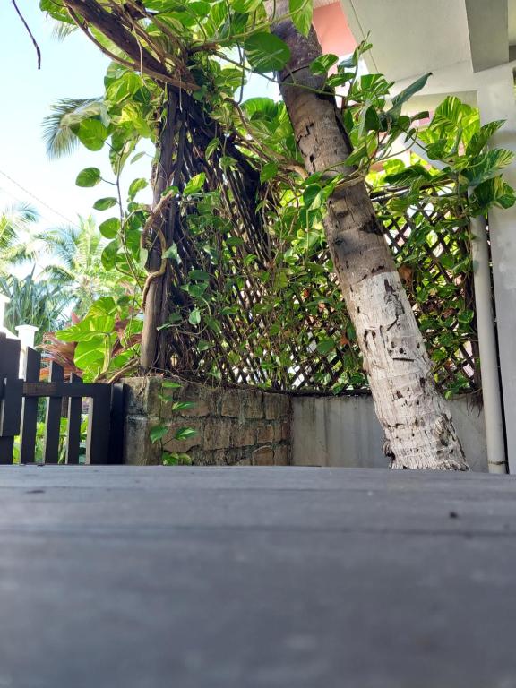 Studio Cannelle - À deux pas de la plage Nosy Be, Nosy Be