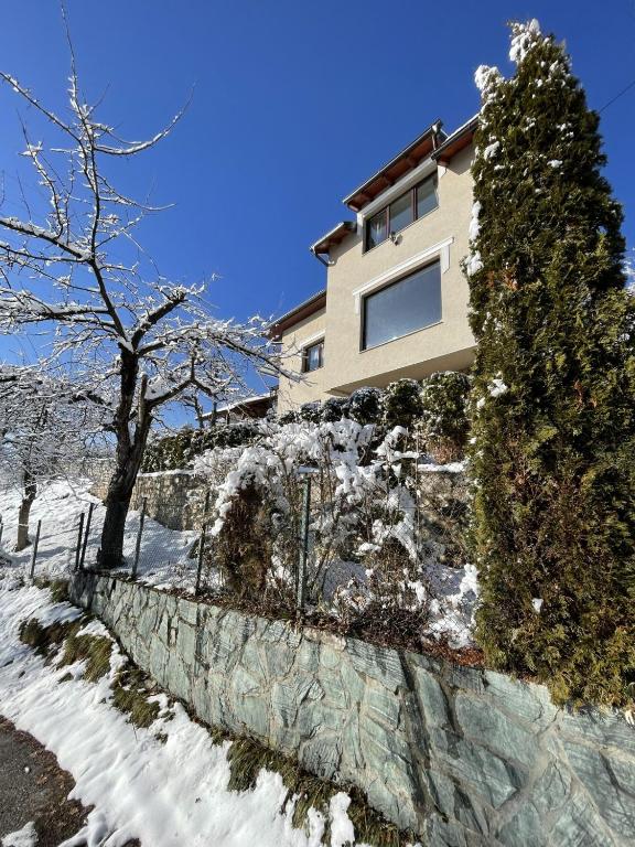 Villa Aja - 1