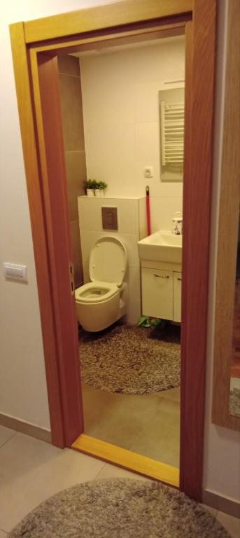 Apartman Rodjo - 5