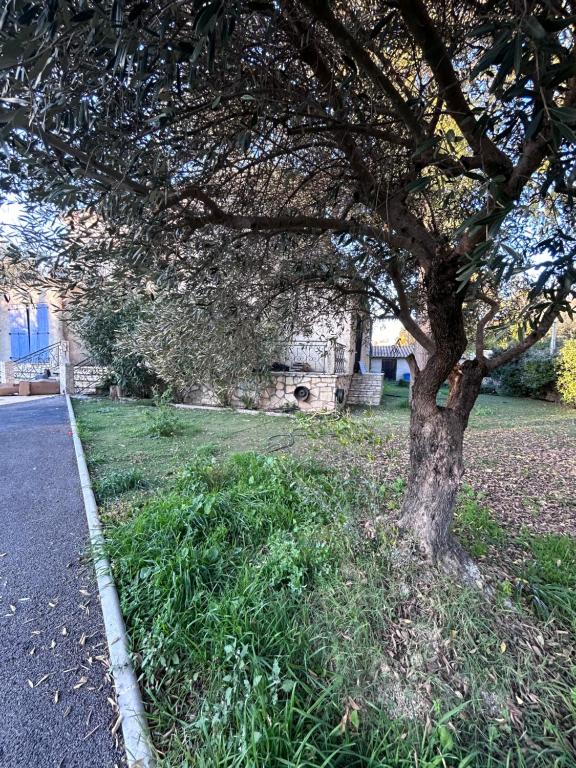 Maison familiale à Nimes - 2