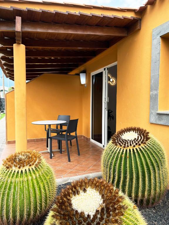 Bungalows Los Almendros - Exclusive Vacation Club — Hotel building in Playa del Ingles, Canary Islands