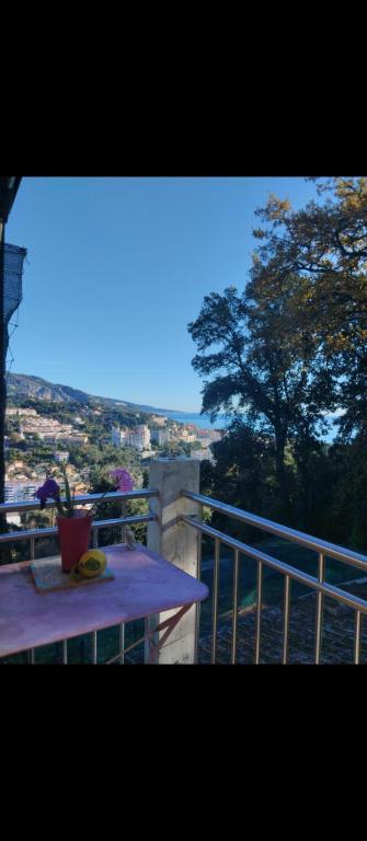 Mini Chalet Nature proche mer à Menton - 2