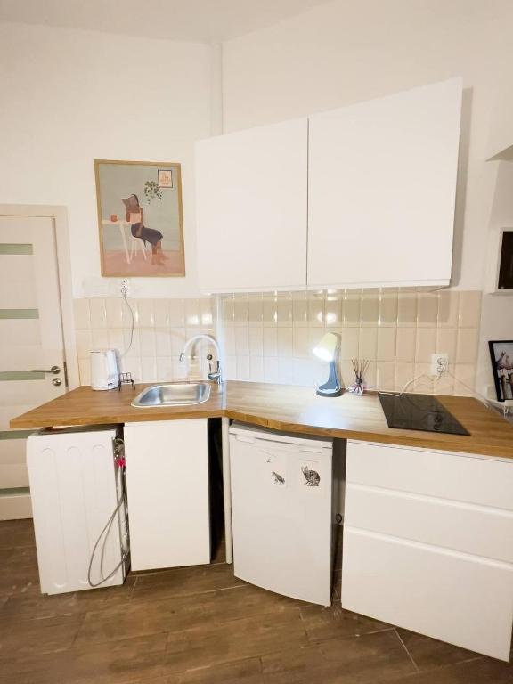 Art Apartment near Skadarliјa - 4