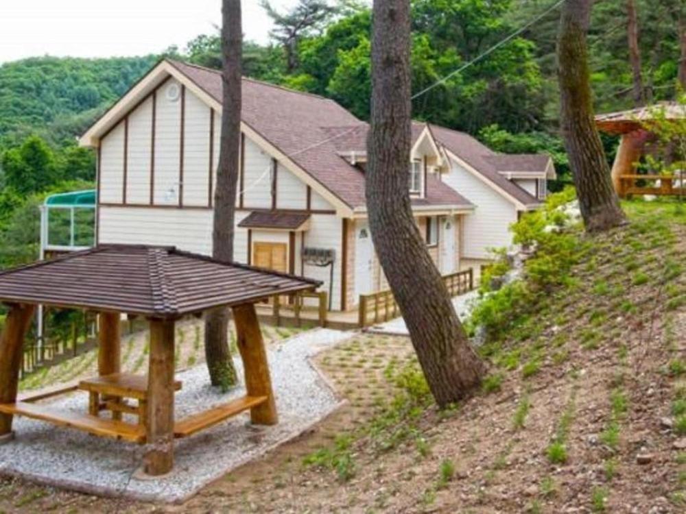 싸리치숲속랜드 펜션 전경