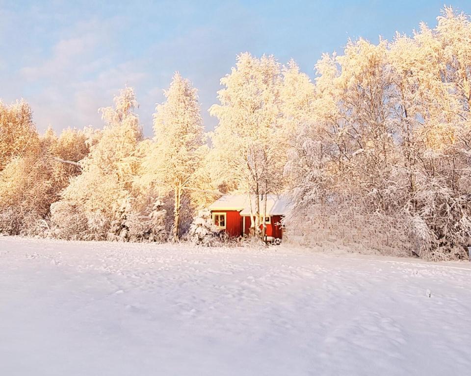 Ferienhaus im schönem historischem Ångermanland, Sundmo