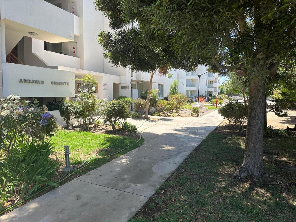Departamento en Serena - 1