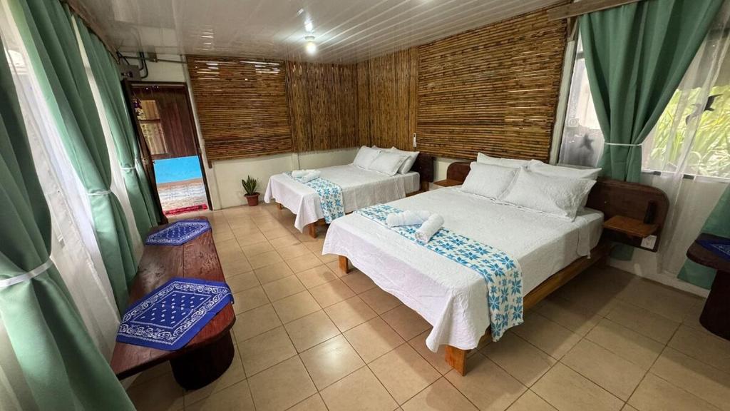 Colibrí, Sarapiquí