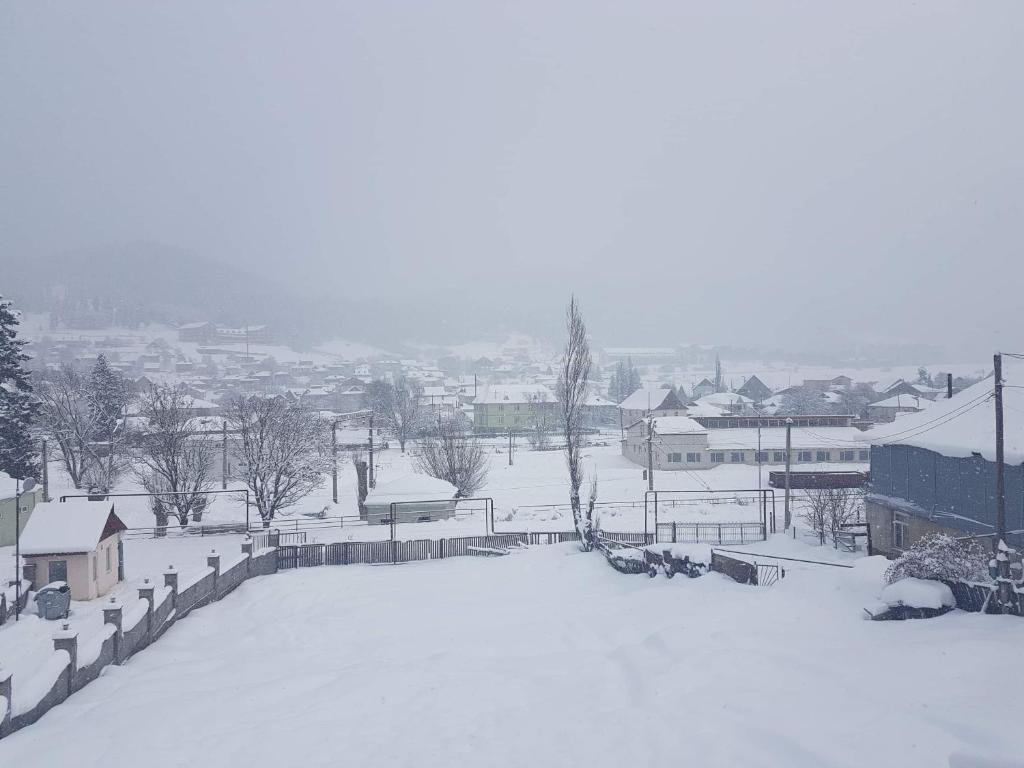 House in Bakuriani, Bakuriani