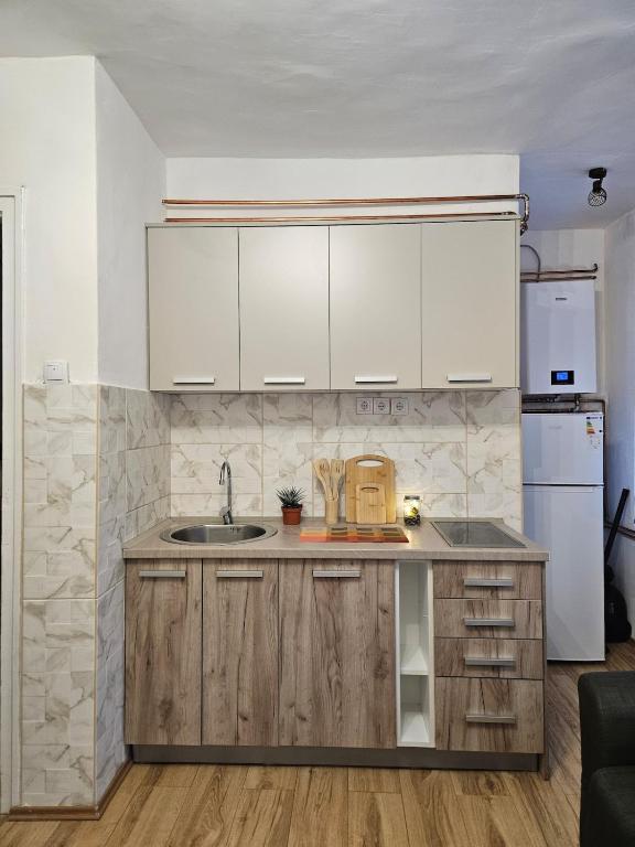Apartman Begovic - 3