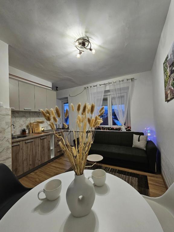 Apartman Begovic, Kolašin