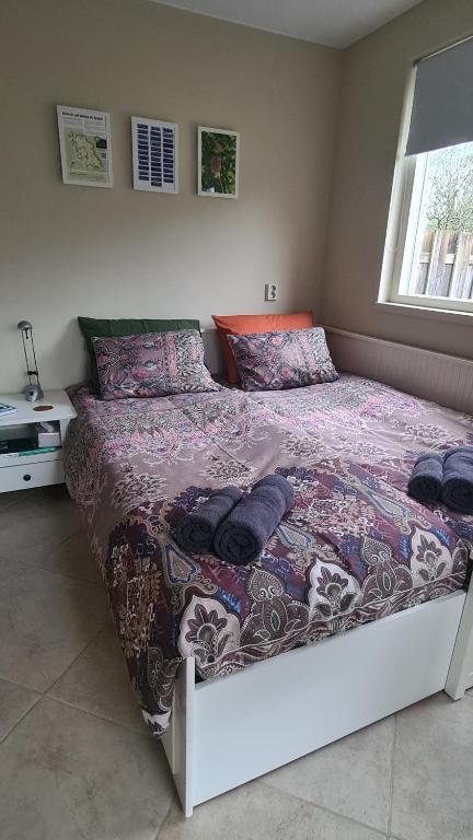 BenB Lagiraffa, Escharen