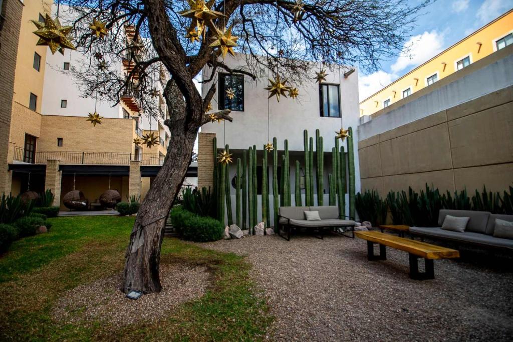 Modern loft with luxury amenities in San Miguel - 4