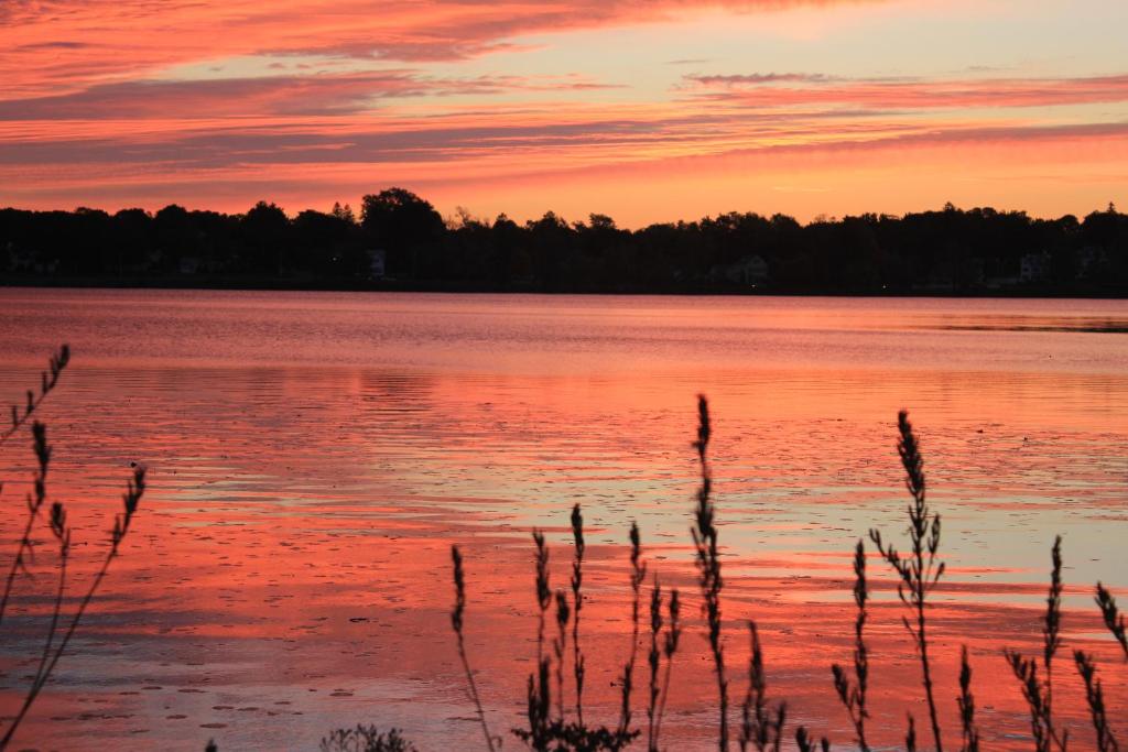 Lakeside Inn Photo 34