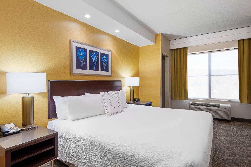 SpringHill Suites by Marriott Wheeling Triadelphia Area 전경