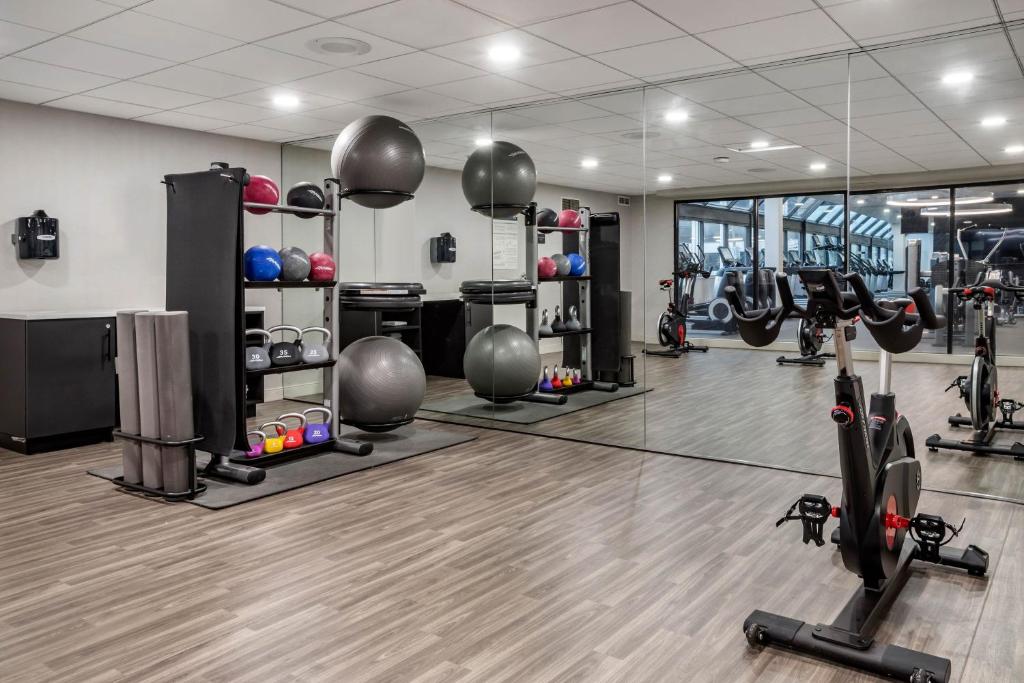 Gimnasio