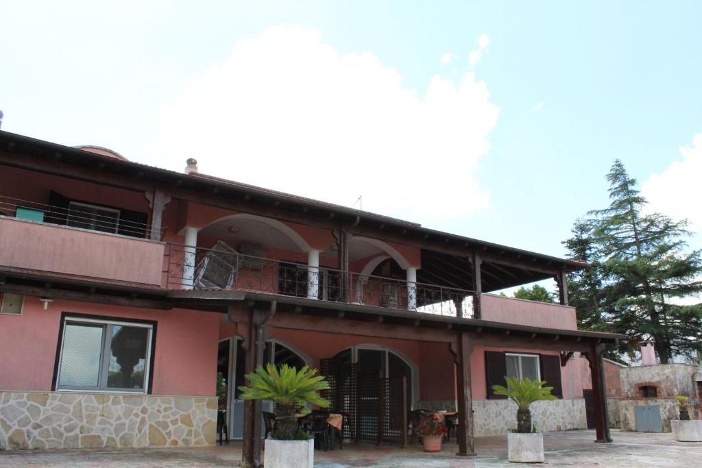 Piccolo Ulivo - 2