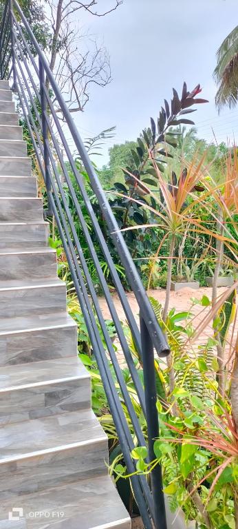 Ceylon Lodge 객실