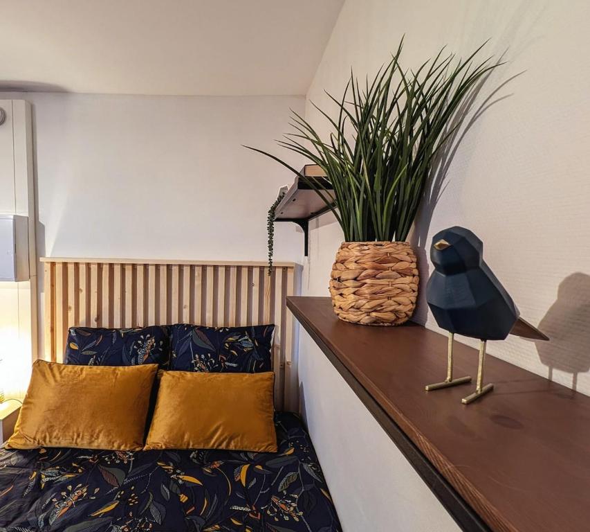 L'Exotic - Studio Centre-Ville, Niort