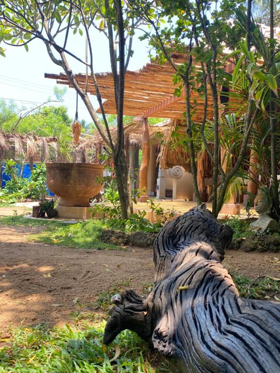 Surrounding environment