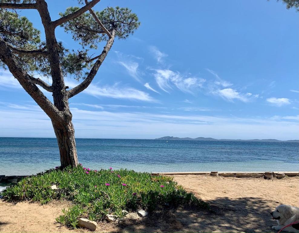 L Eden Croisette nid douillet en bord de plage - 3