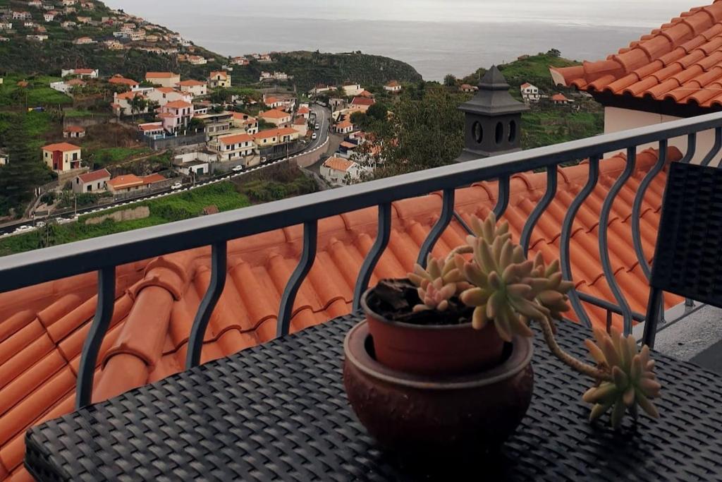 Silva House, Ribeira Brava