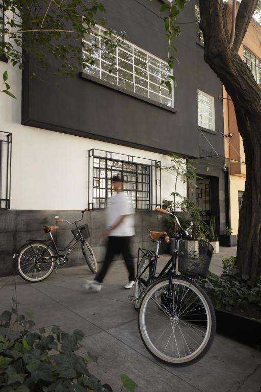 Sports and activities