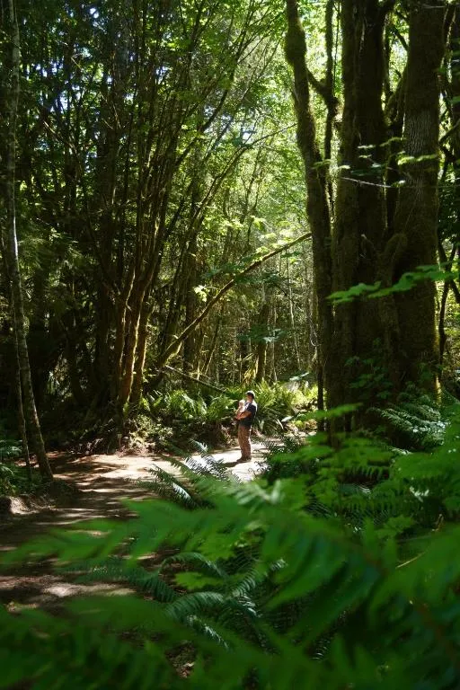 Starlight Olympic Glamping, hotel in Port Angeles