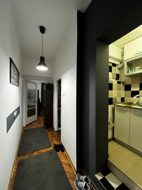 Apartment in Vračar - 1
