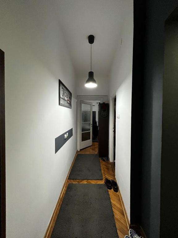 Apartment in Vračar - 2