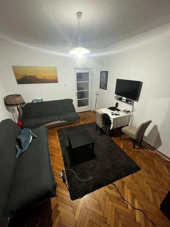 Apartment in Vračar - 3