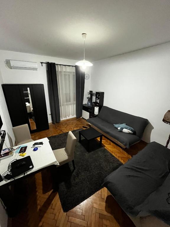 Apartment in Vračar - 4