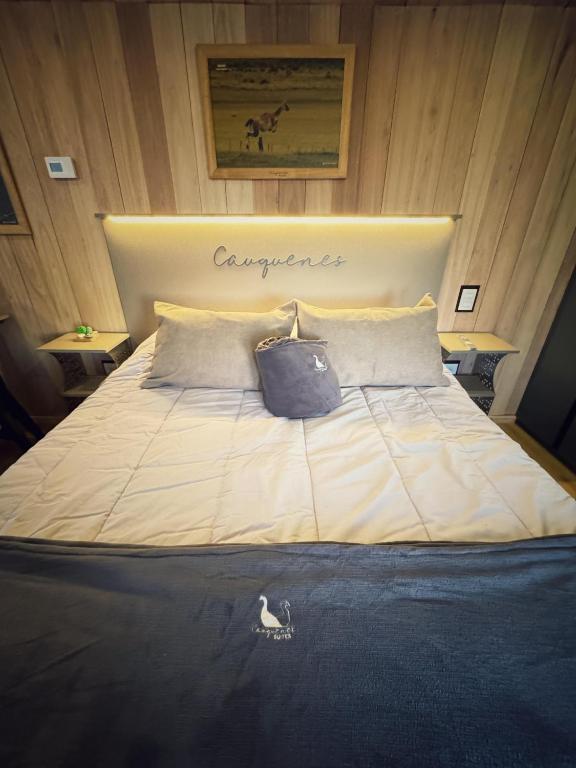 Cauquenes Suites - 5