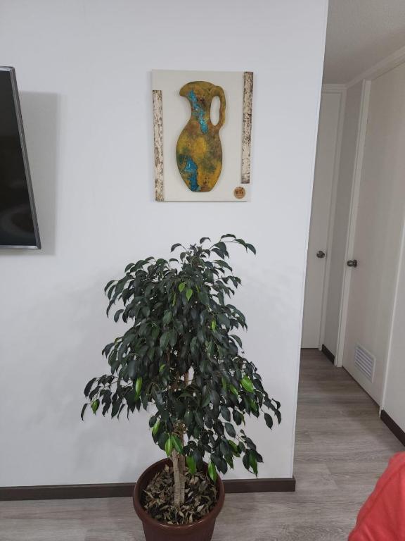 Departamento acogedor con wifi y parking ideal para descanso o teletrabajo - 4