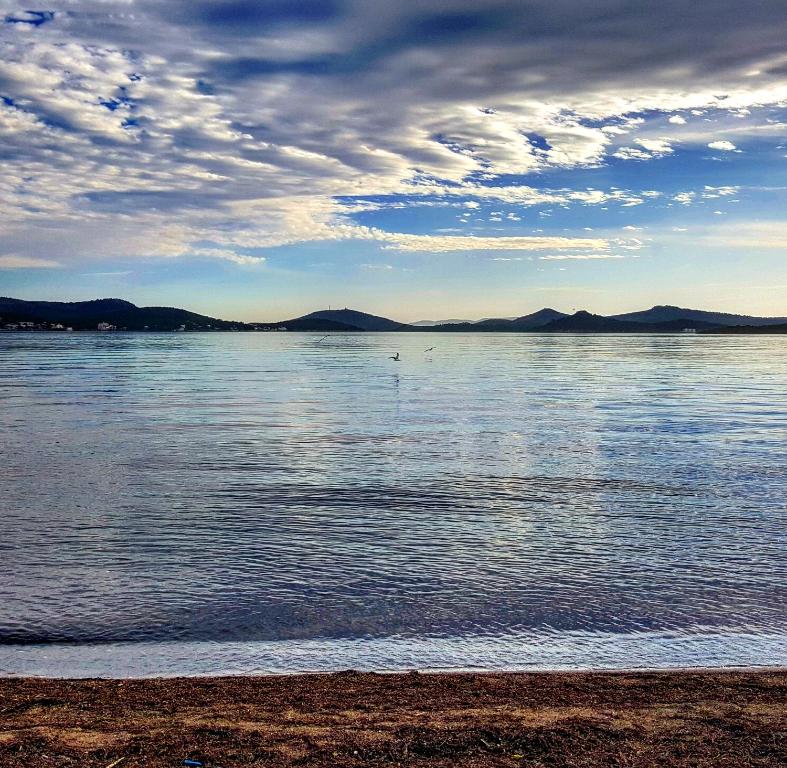 Surrounding environment