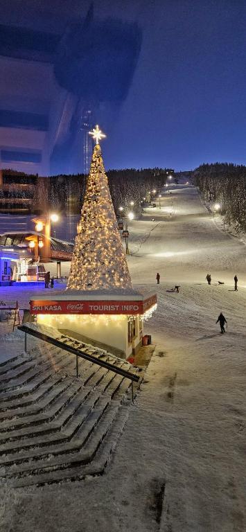 Apartment Holiday Ravna Planina - 2