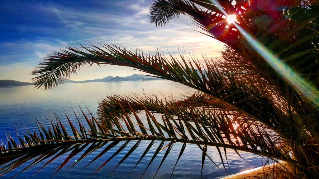 Surrounding environment