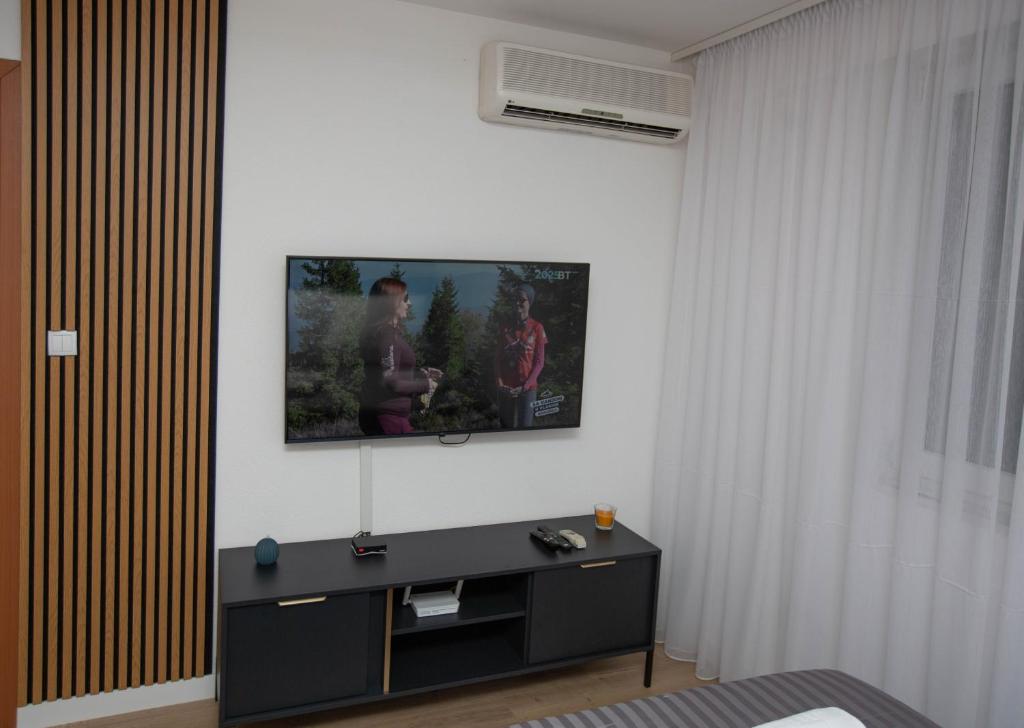 Apartman studio GRUBAC - 4