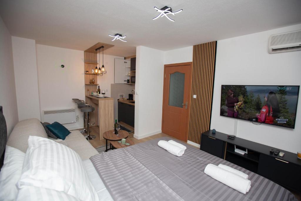 Apartman studio GRUBAC - 5