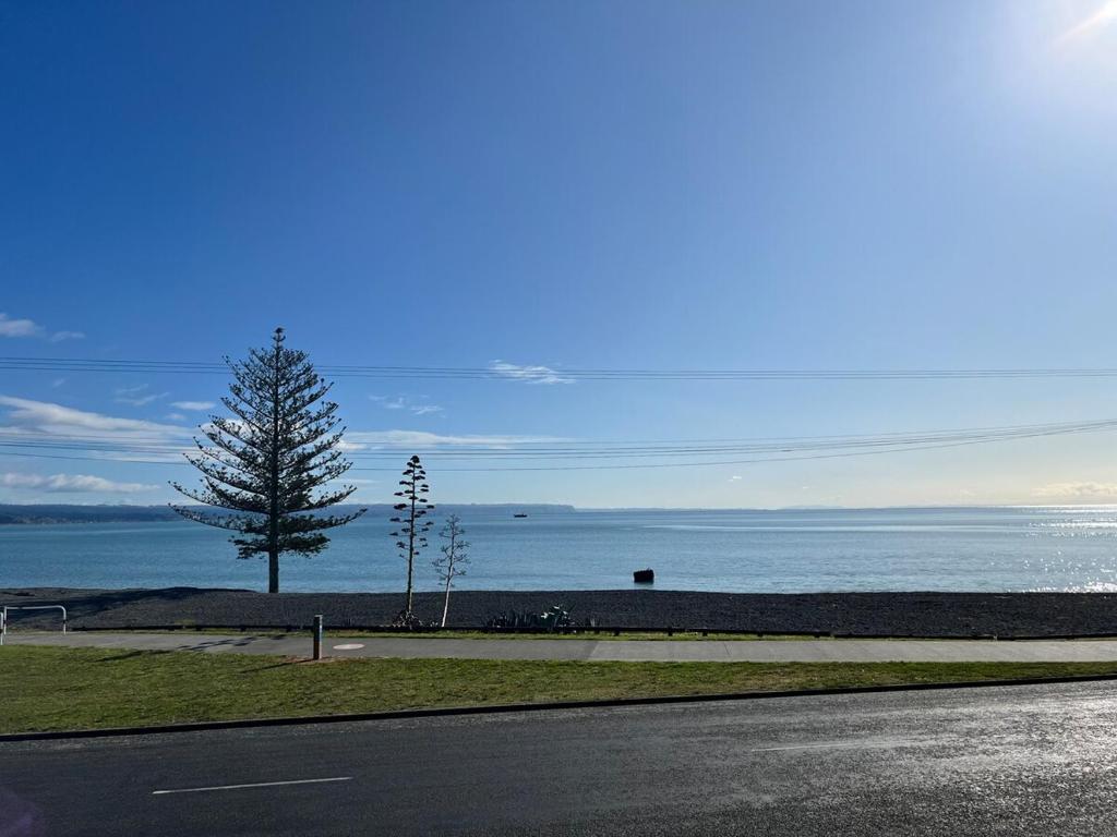 Shell's Beachfront BnB, Napier