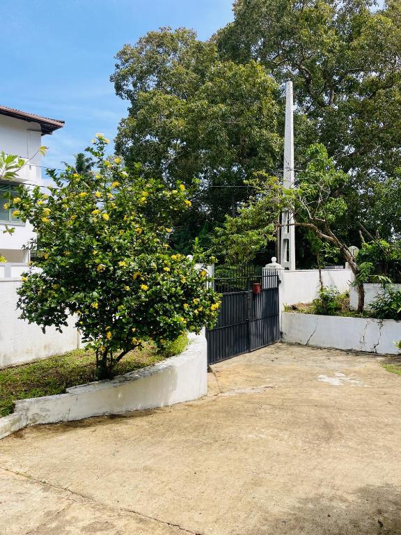 Sip Havens, Weligama