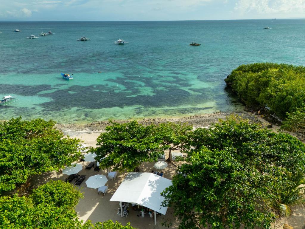 Surrounding environment