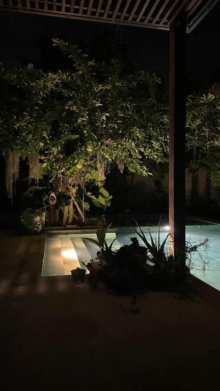 Calm in Bali, Tanah Lot